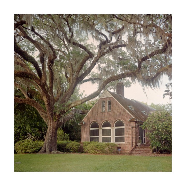 A large tree with spanish moss hangs over a brick house with arched windows.