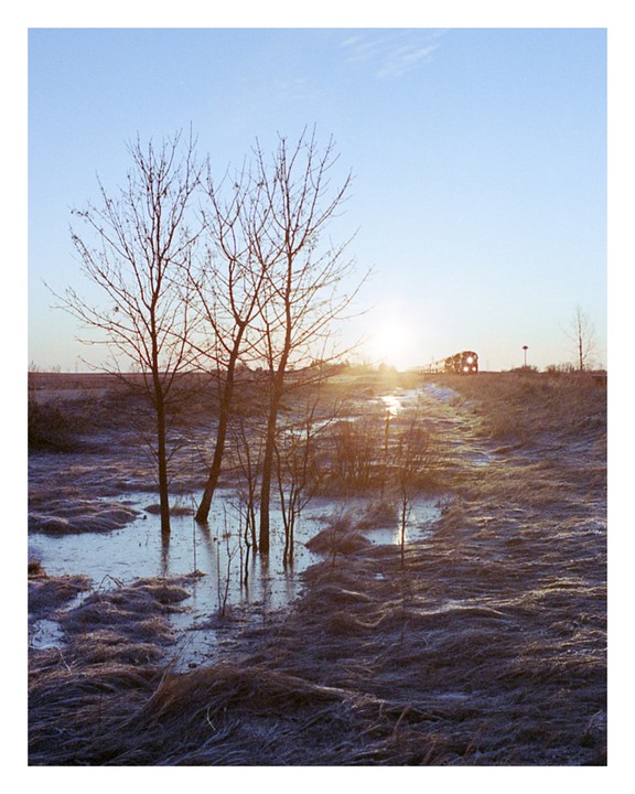 A train approaches on a track next to a flooded field with bare trees at sunrise.