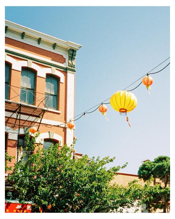 A string of colorful lanterns hangs above a tree in front of a brick building.