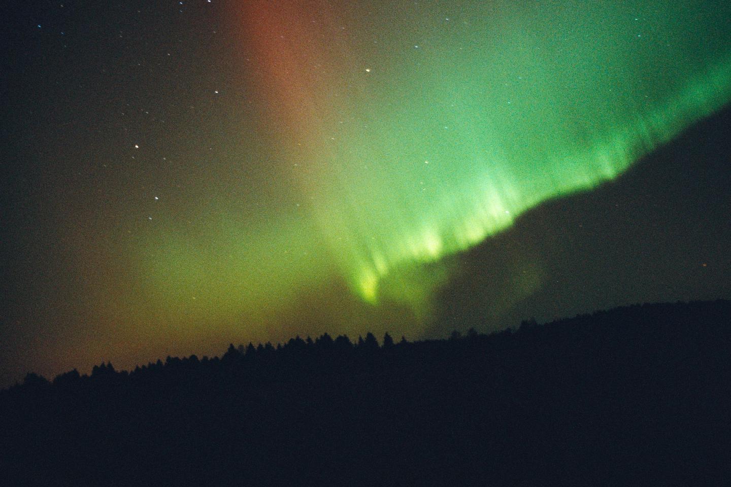 The aurora borealis glows green and red above a dark forest at night.