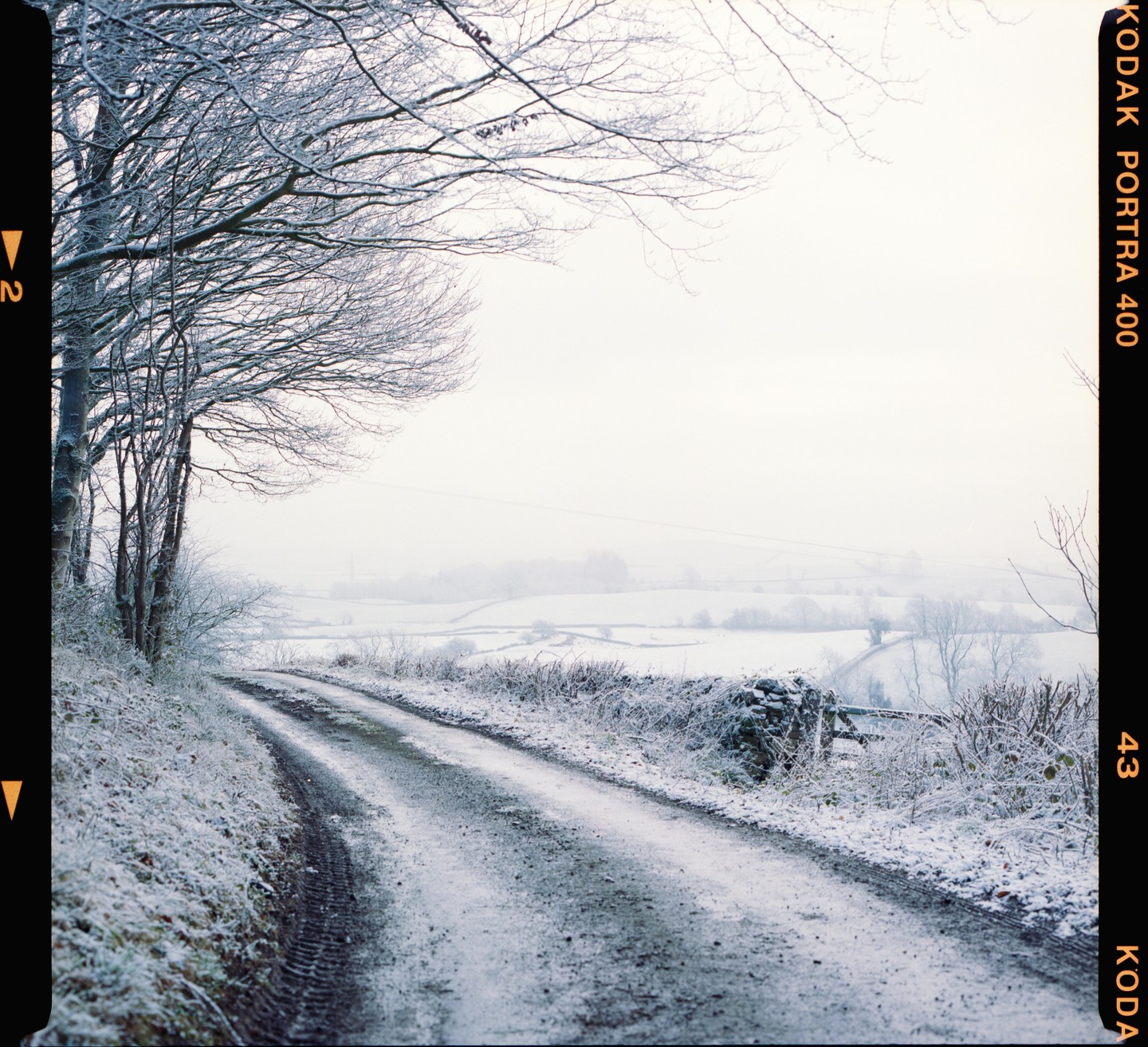 A snow-covered road leads through a winter landscape with bare trees and fields.