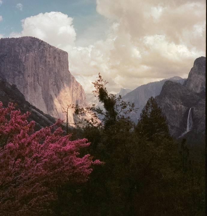 A vibrant pink tree stands in the foreground of a mountainous landscape with a waterfall and cloudy sky.