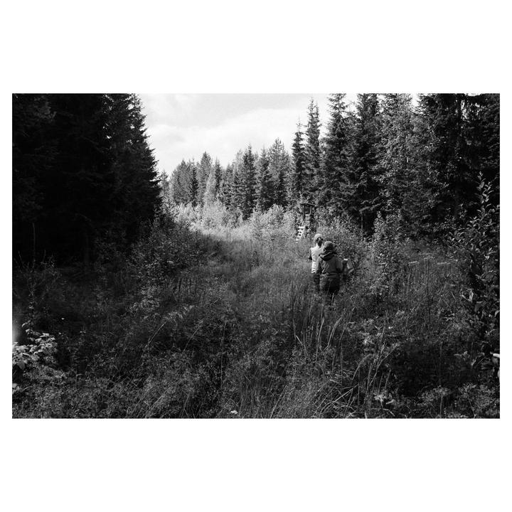 Two people walk away from the viewer through a field of tall grass and trees.