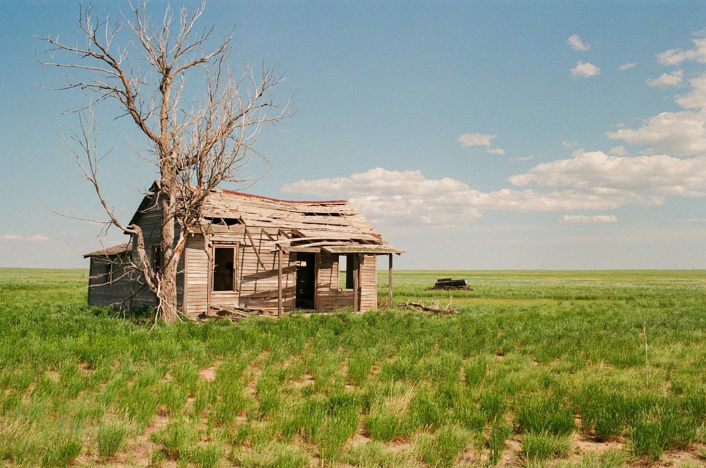 An abandoned wooden house with a collapsing roof stands next to a bare tree in a vast green field under a blue sky with scattered clouds.