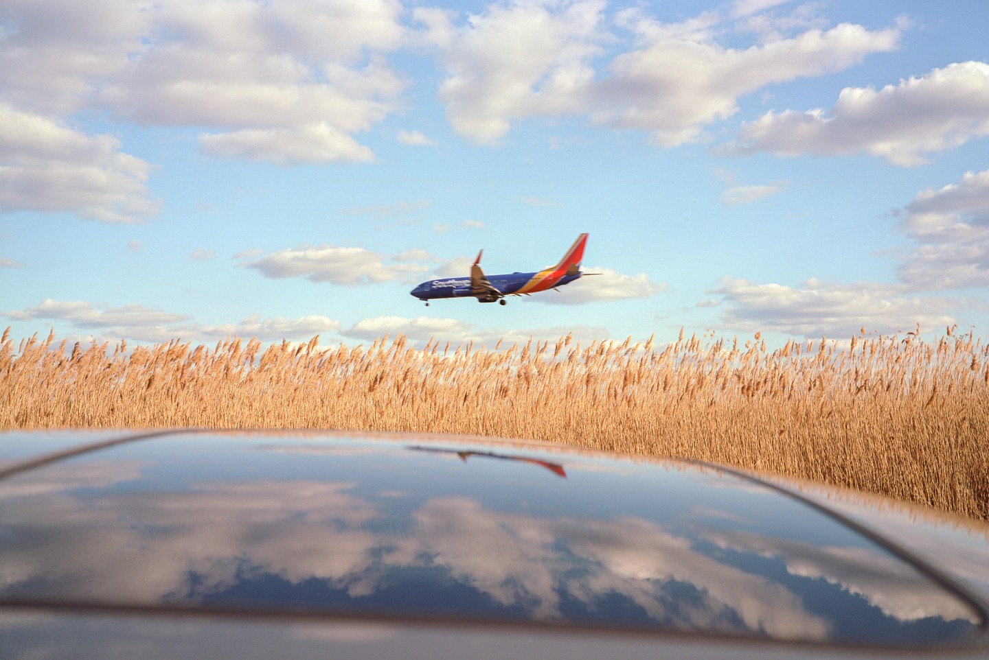 A passenger jet flies low over a field of tall grass, with its reflection visible on the roof of a car in the foreground.