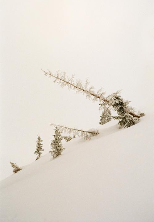 Snow-covered trees are visible on a white, snow-covered slope.