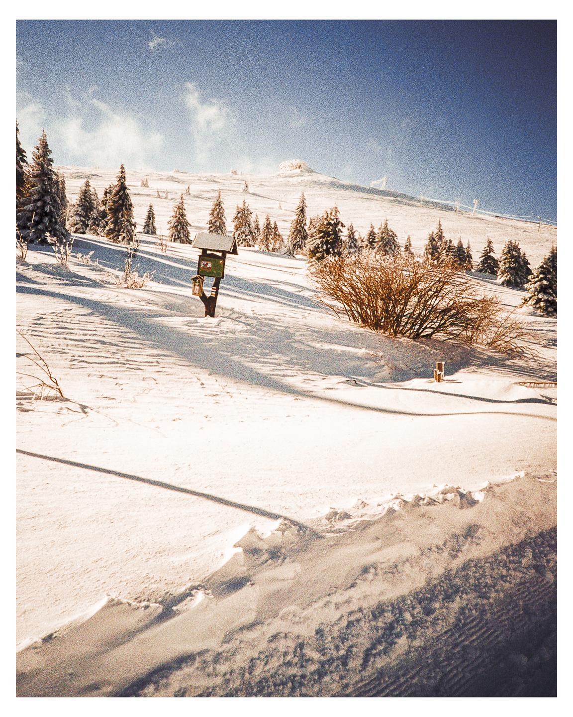 A snow-covered mountain slope with pine trees and a sign is visible under a clear sky.