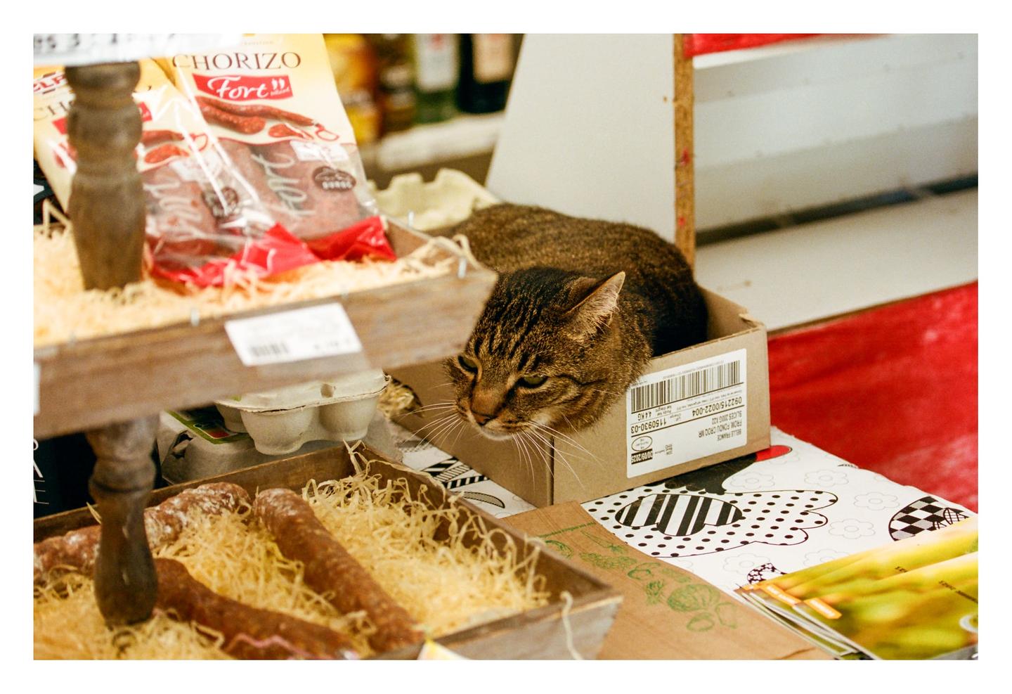 A tabby cat is resting in a cardboard box on a counter next to packaged chorizo and sausages.