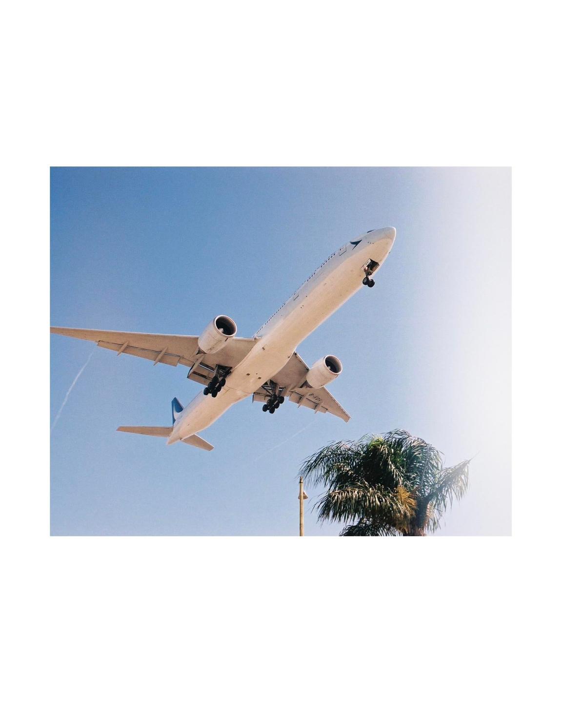 A large airplane with its landing gear down flies low over a palm tree against a bright blue sky.