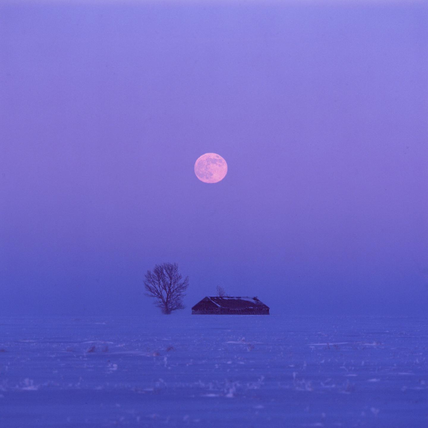 A full moon hangs in a purple sky above a snow-covered field with a bare tree and a small building.