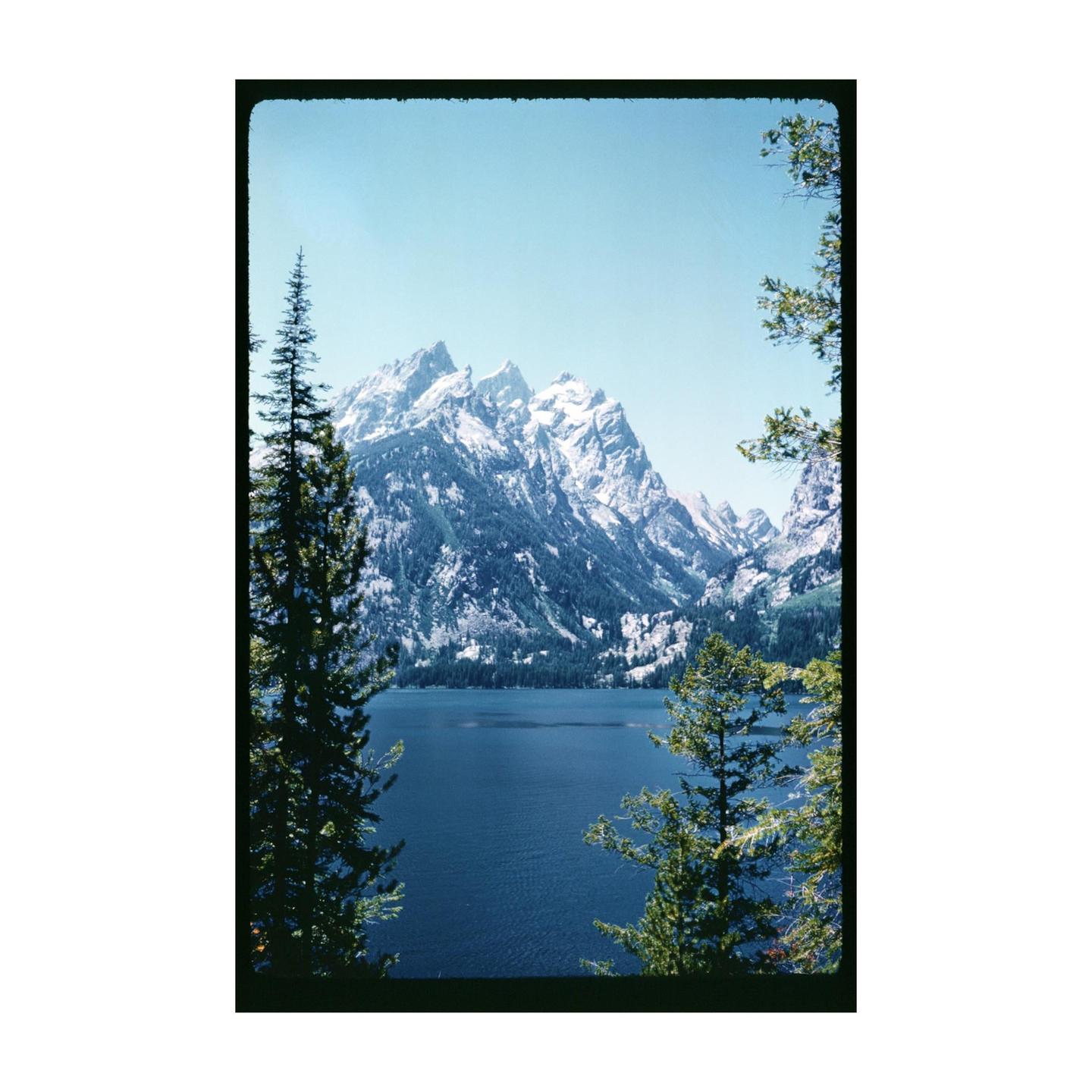 A lake is visible between two tall pine trees, with snow-capped mountains in the background.