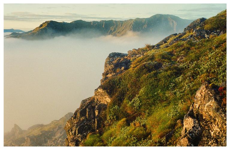 A mountain peak covered in green foliage and rocks rises above a layer of fog, with other mountain ranges visible in the distance.