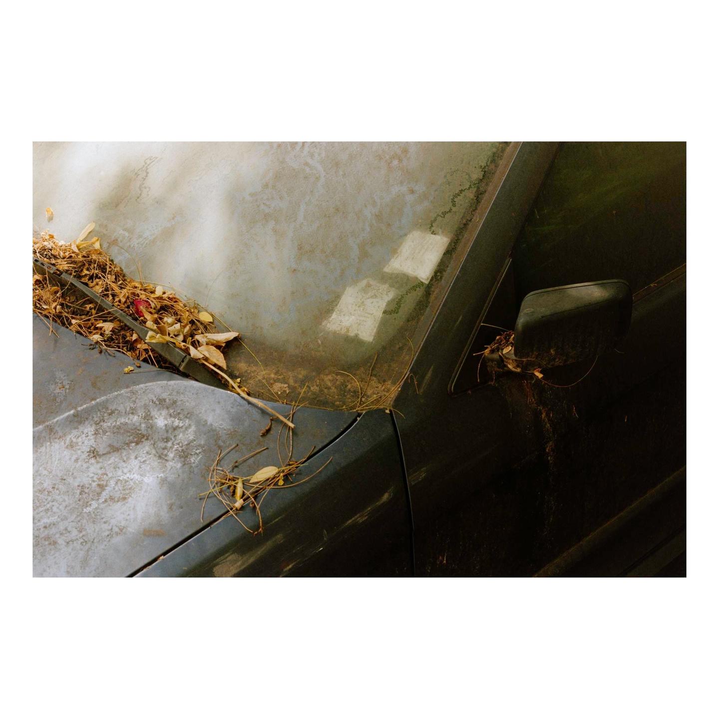 A dirty car is covered in leaves and debris, with a dusty windshield and side mirror.