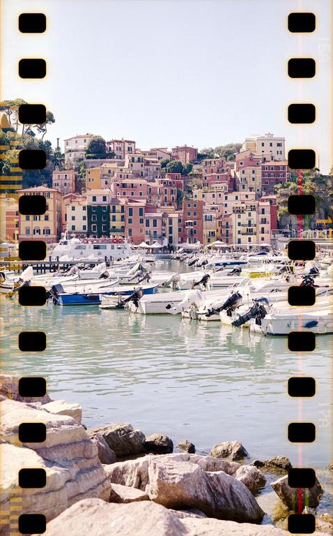 A harbor with many boats is in the foreground, with a town built on a hill in the background.