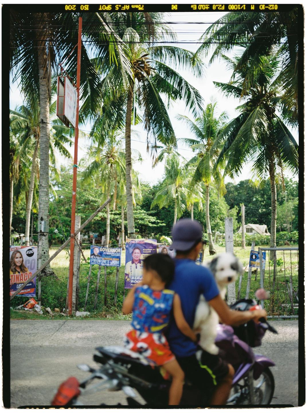 A man, child, and dog ride a motorcycle past palm trees and political posters.