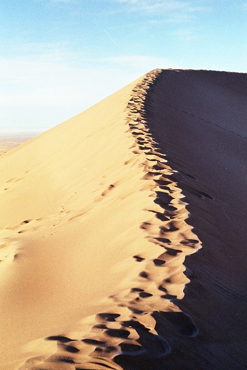 Footprints lead up the ridge of a sand dune under a clear sky.