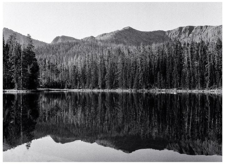 A forest of tall, thin trees stands behind a body of water, reflecting the trees and mountains in the distance.
