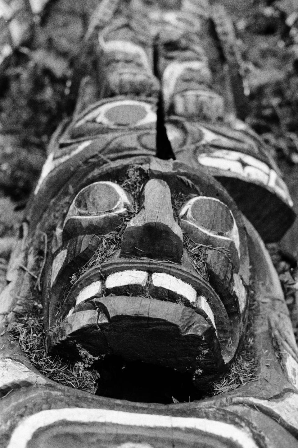 A decaying totem pole with a carved face and white teeth is shown in a close-up, low-angle view.