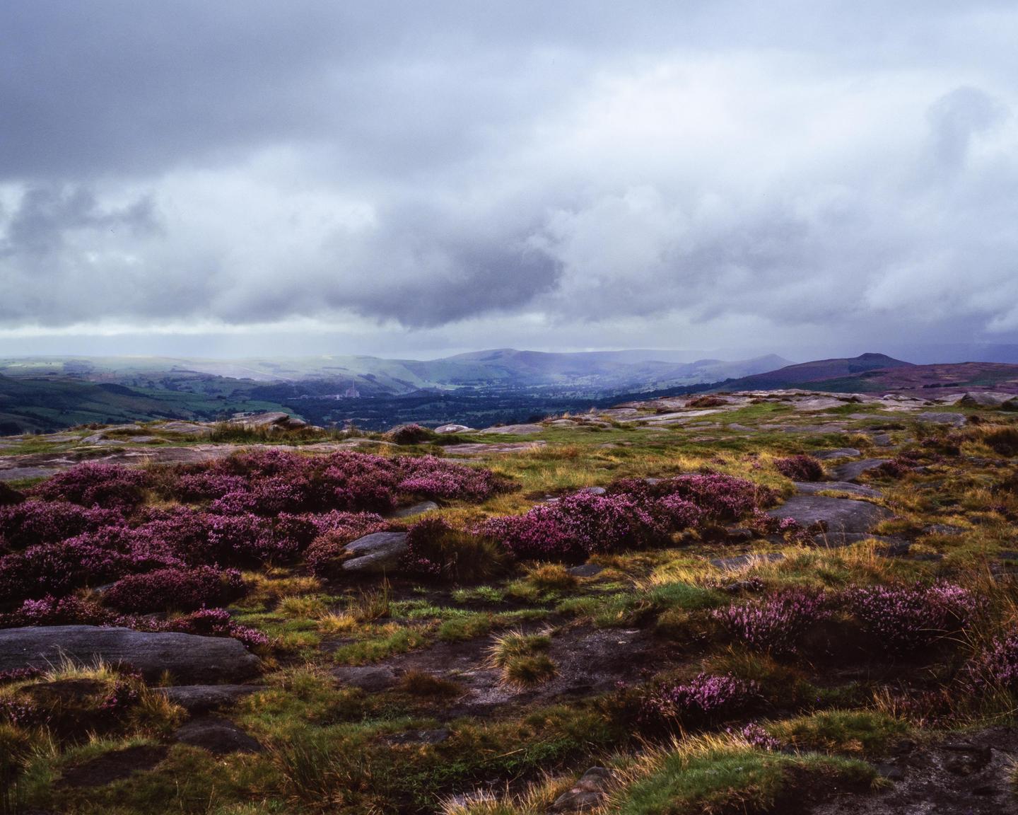 A wide landscape shows a valley with a town in the distance, with purple heather and rocks in the foreground under a cloudy sky.