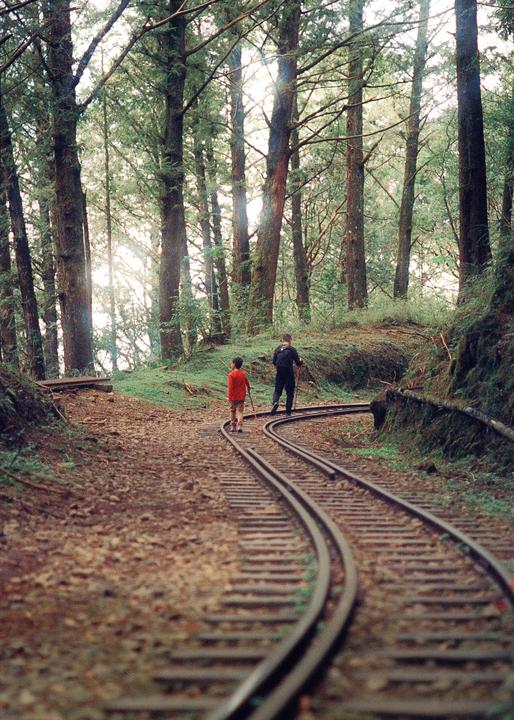 A man and a child walk along a curved railway track through a forest.