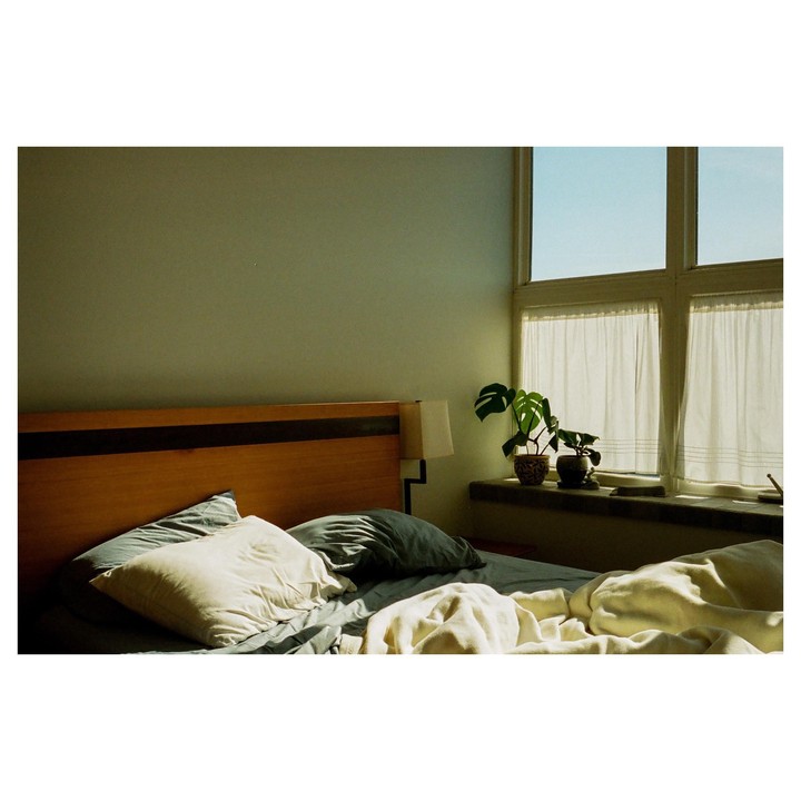 Sunlight streams into a bedroom with an unmade bed and potted plants on the windowsill.