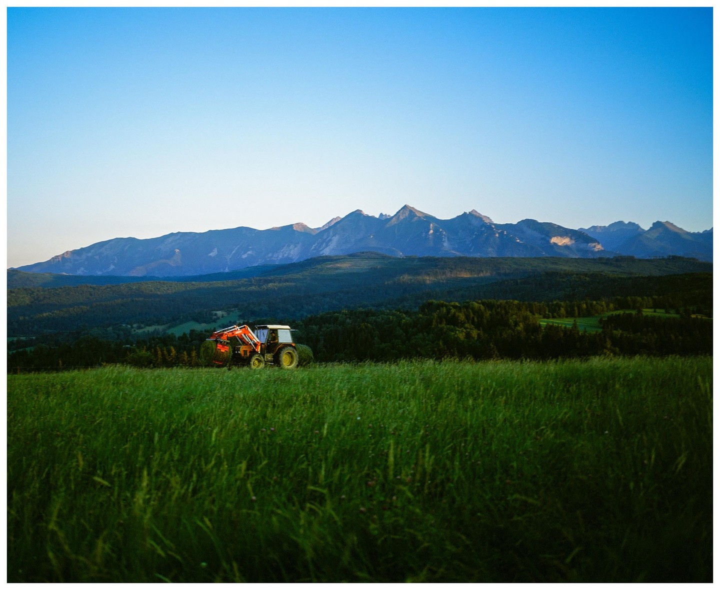 A tractor is parked in a field of tall grass with mountains and a forest in the background.