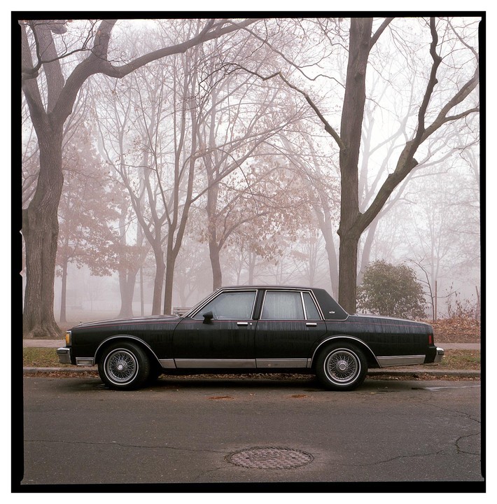A black sedan is parked on the side of a street next to a park with trees shrouded in mist.