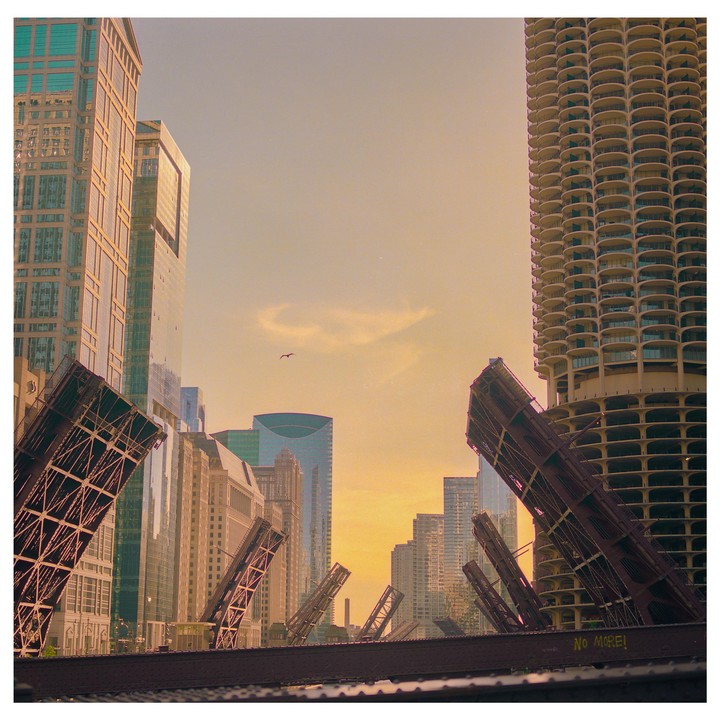 A bird flies over a city with many tall buildings and several open drawbridges.