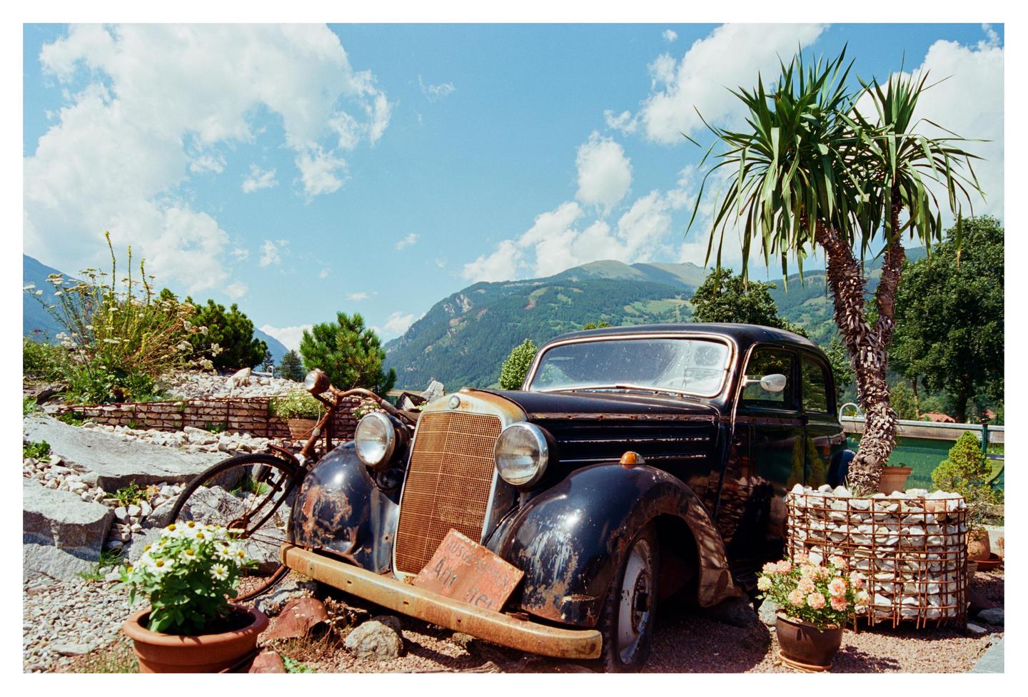 An old, rusty Mercedes-Benz car is parked next to a palm tree with mountains in the background.