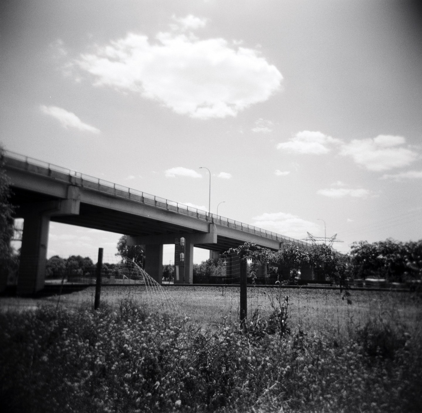 A concrete overpass stretches across the frame above a grassy field with a fence in the foreground.