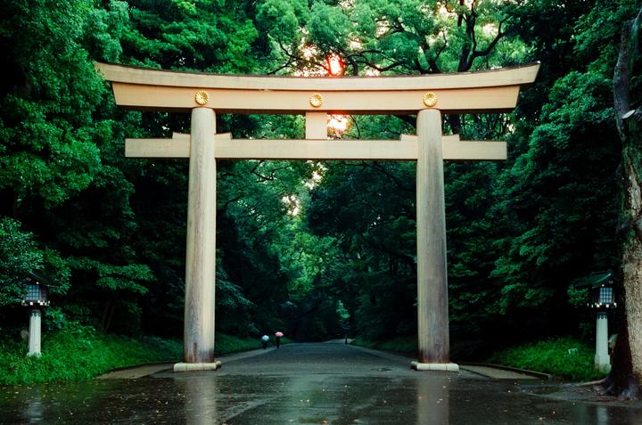 A large wooden torii gate stands at the entrance to a path lined with dense green trees, with two people holding umbrellas walking in the distance.