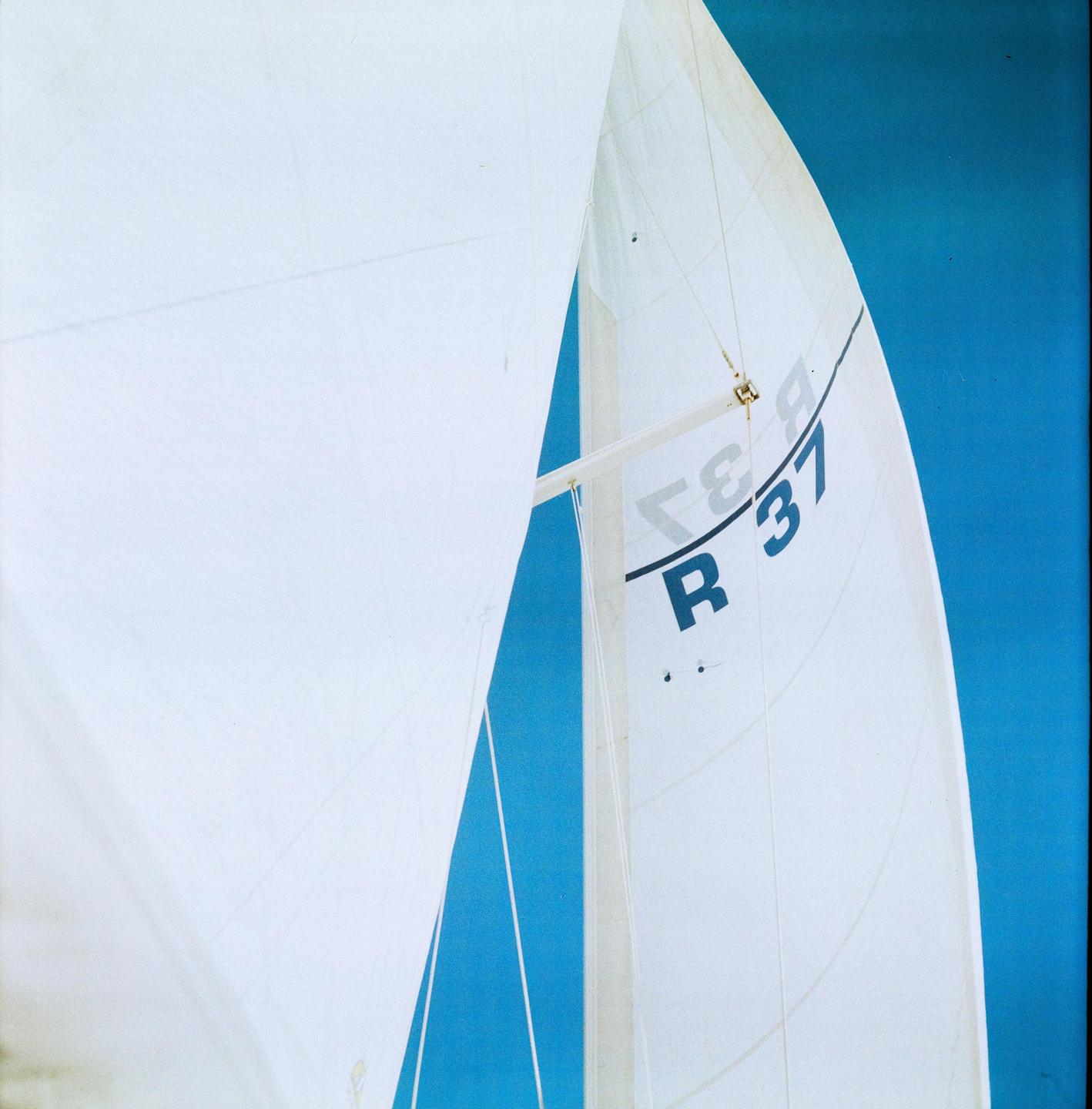 A white sailboat sail with blue numbers is visible against a bright blue sky.