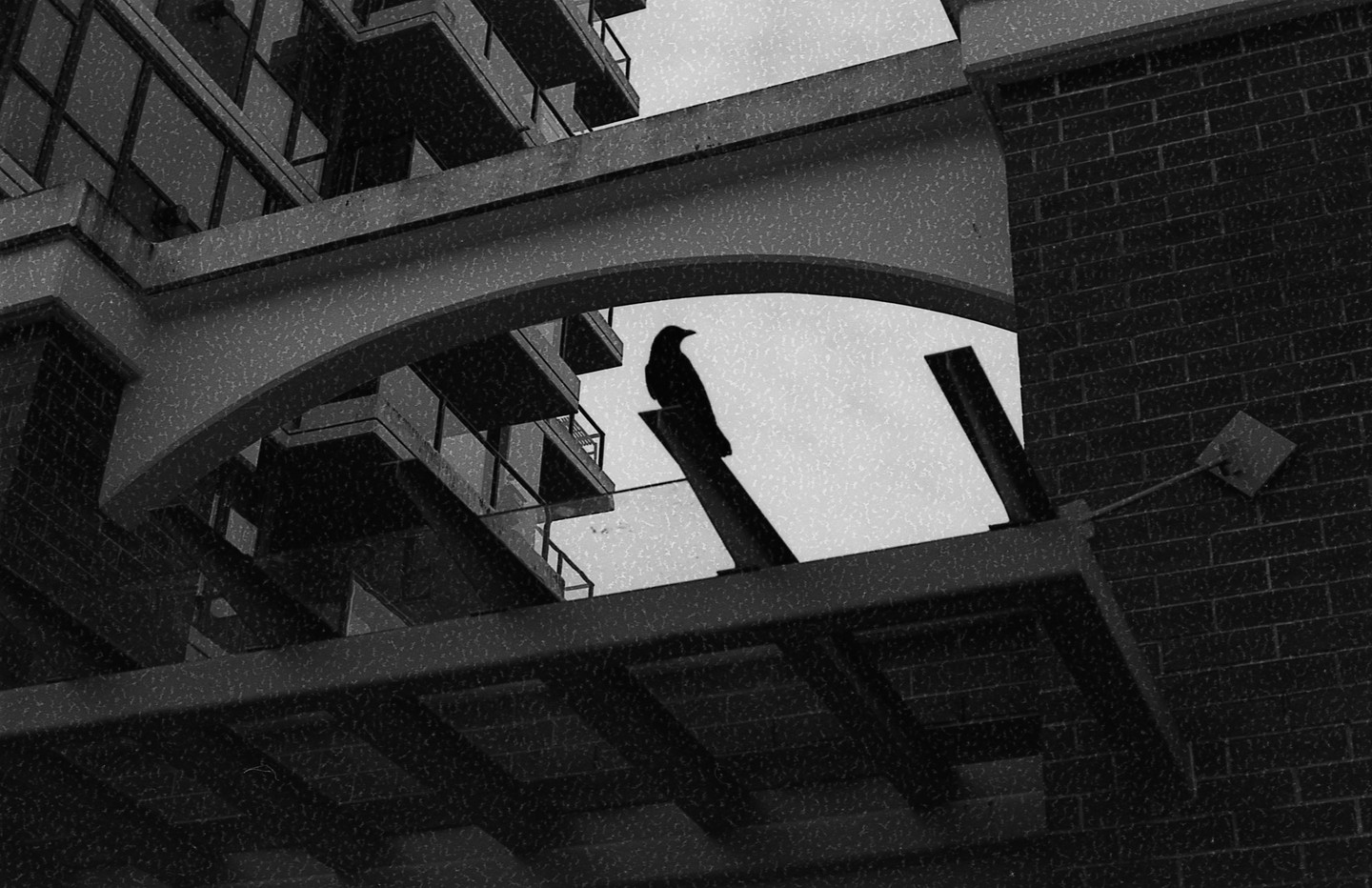 A crow is silhouetted against a bright sky, framed by the dark architectural elements of a building.