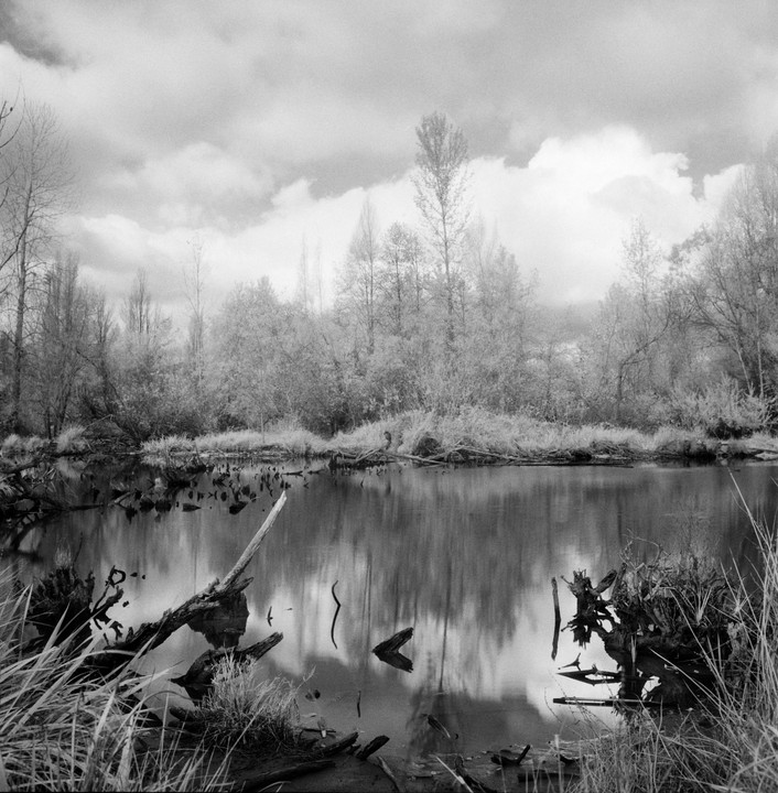 A body of water reflects the trees and cloudy sky surrounding it.