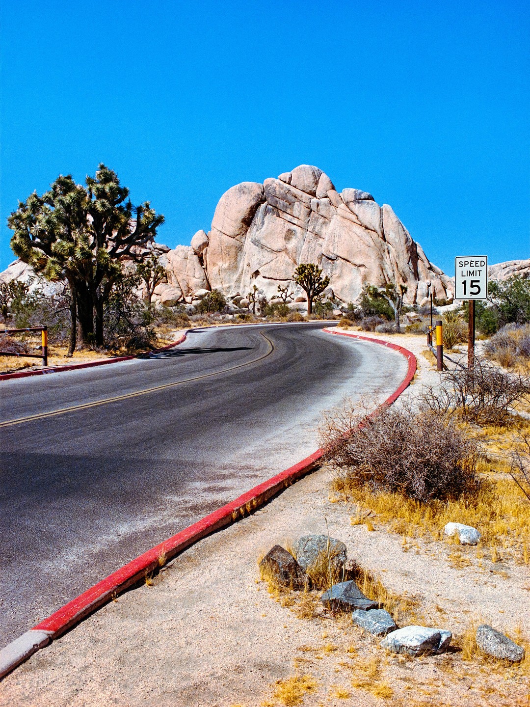 A road curves around a large rock formation with Joshua trees and desert plants under a clear blue sky.