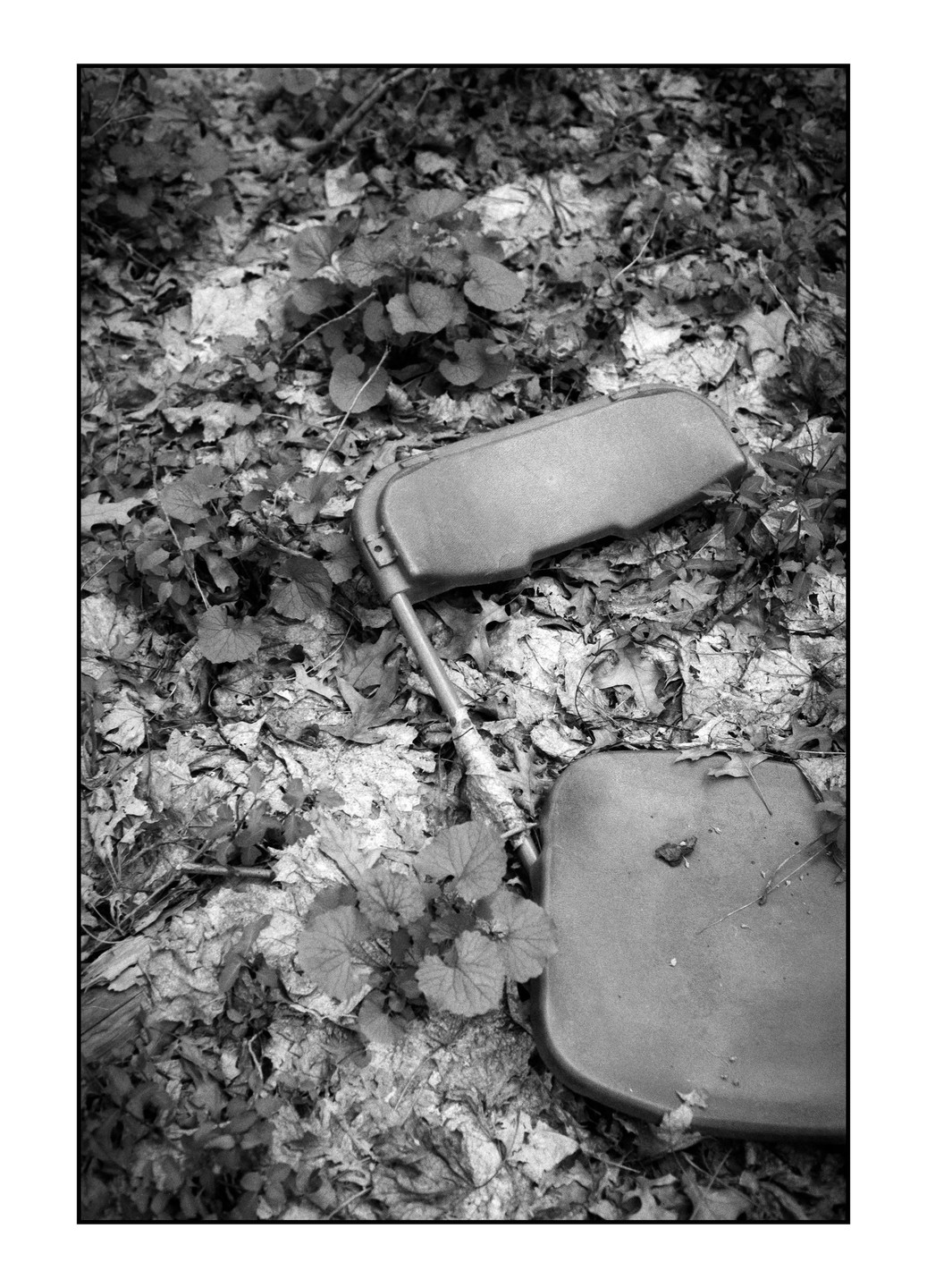 A broken plastic chair lies on a forest floor covered in leaves and small plants.
