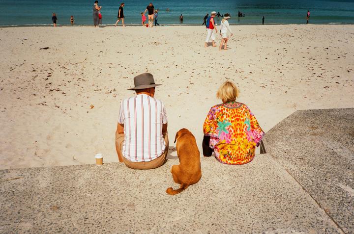 A man, a woman, and a dog sit on a concrete ledge overlooking a sandy beach with people in the water.