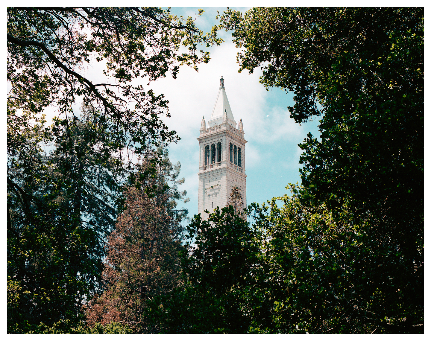 A tall, white clock tower is framed by green tree branches against a blue sky.