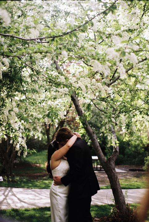 A couple embraces under a tree with white blossoms.