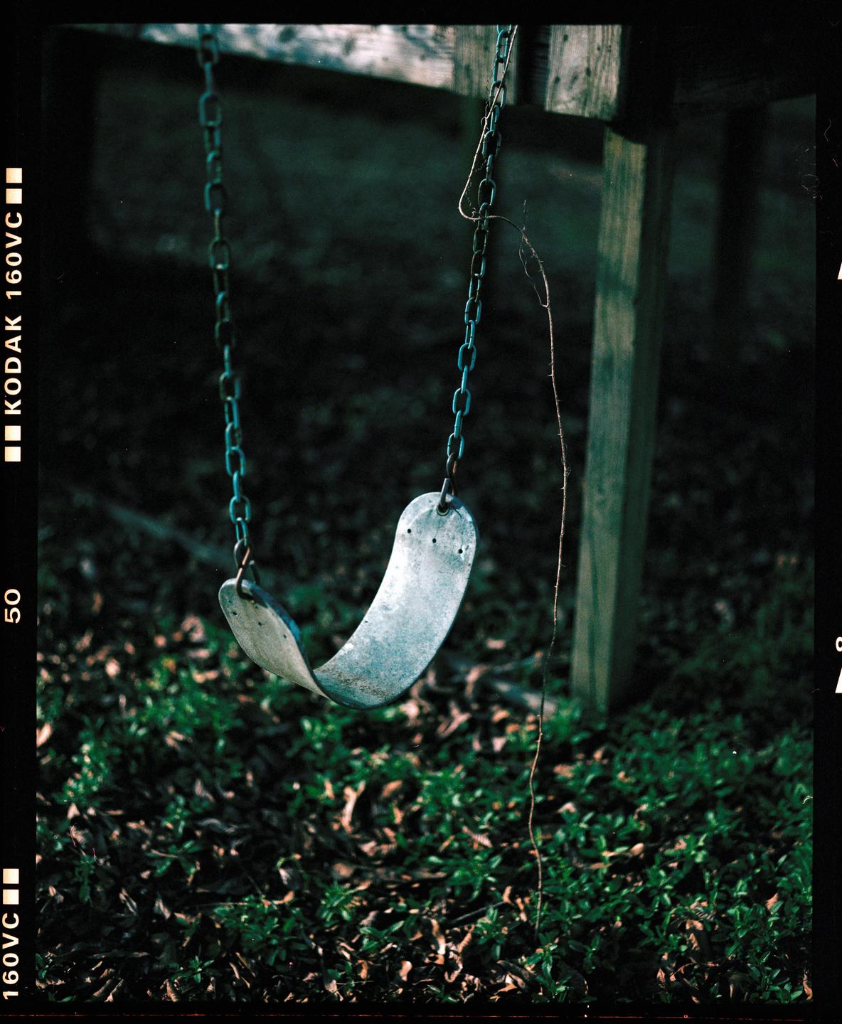 A swing hangs over a patch of green ground cover with a wooden structure in the background.