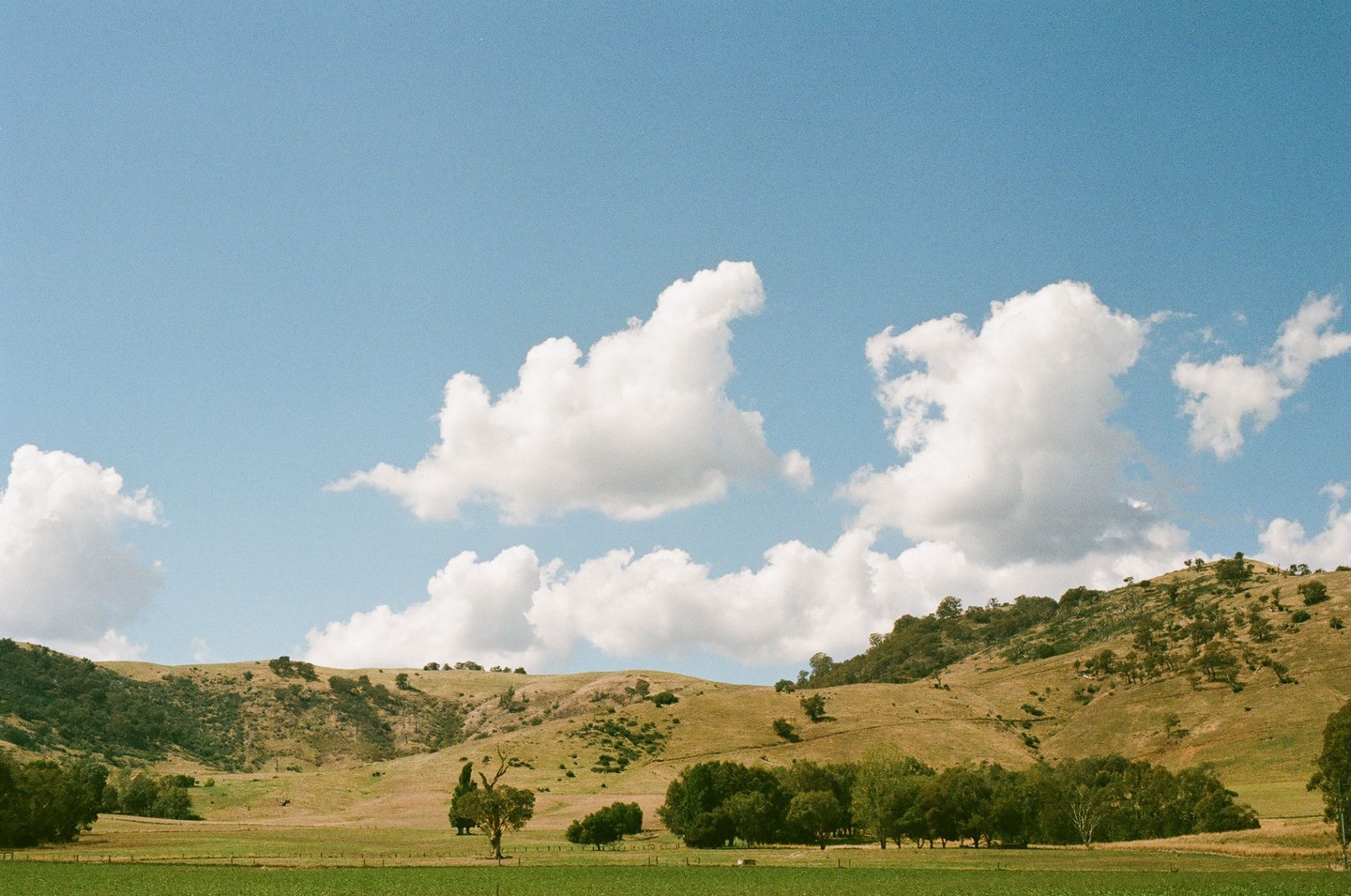 A wide landscape shows rolling hills covered in dry grass and trees under a blue sky with white clouds.