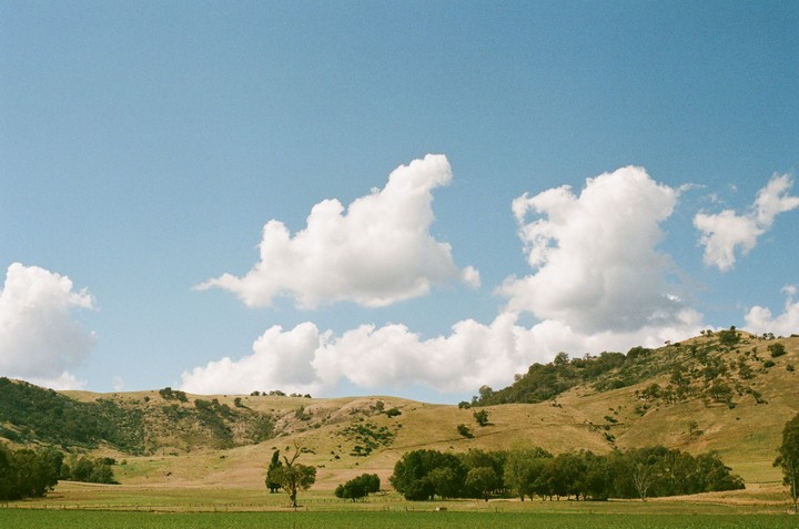 A wide landscape shows rolling hills covered in dry grass and trees under a blue sky with white clouds.