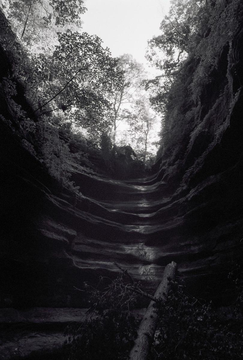 A fallen tree lies in a dark, narrow canyon with light visible at the top.