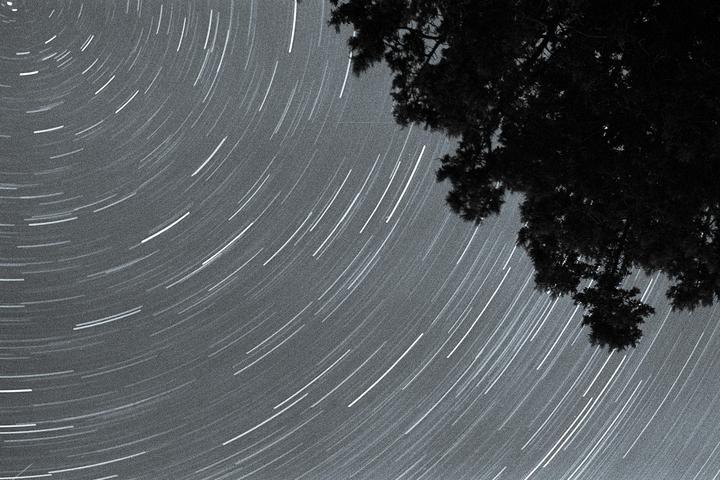Star trails arc across the night sky with a tree branch visible in the upper right corner.