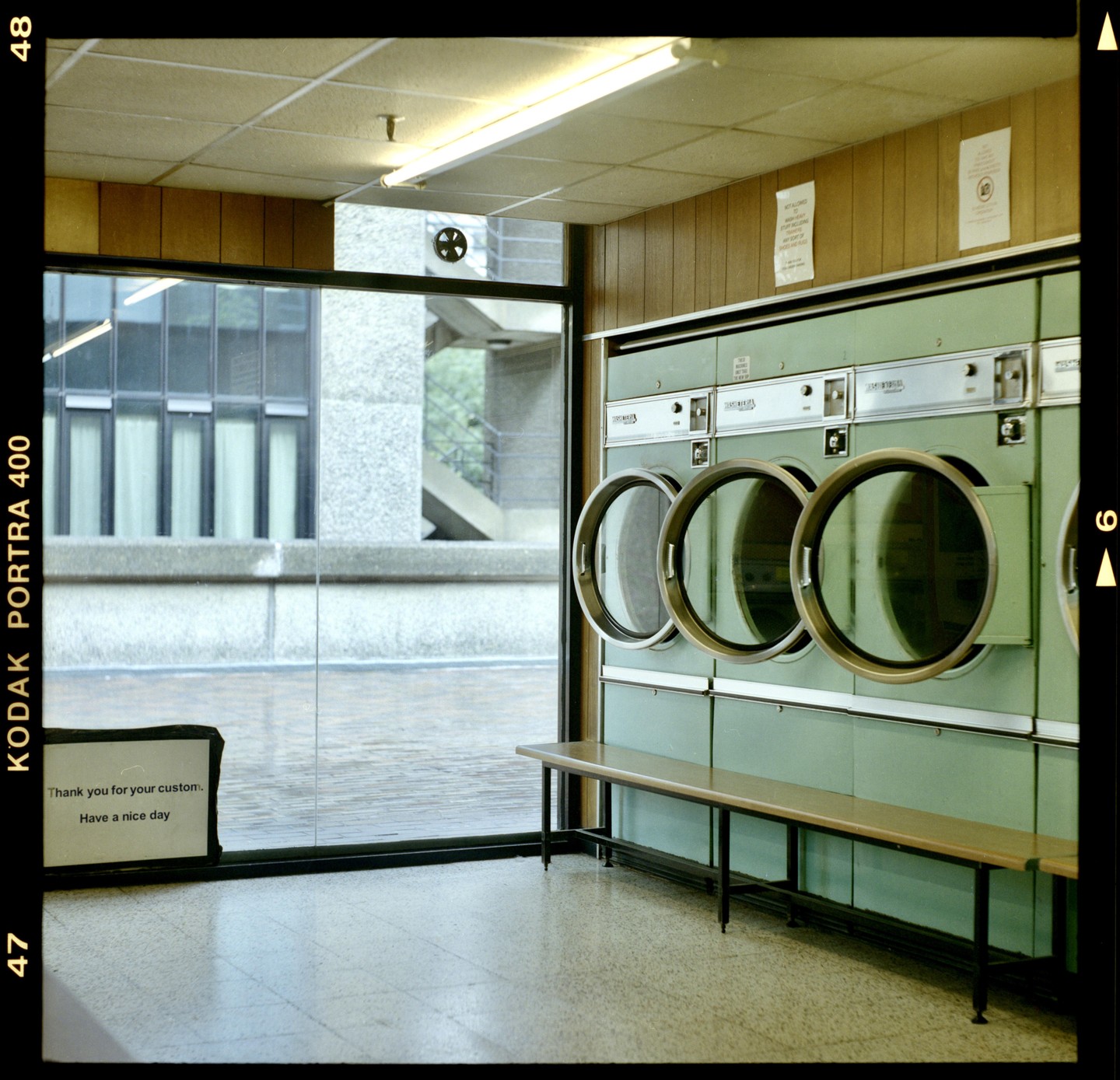 A row of mint green washing machines with circular doors lines a wall next to a large window looking out onto a concrete building.