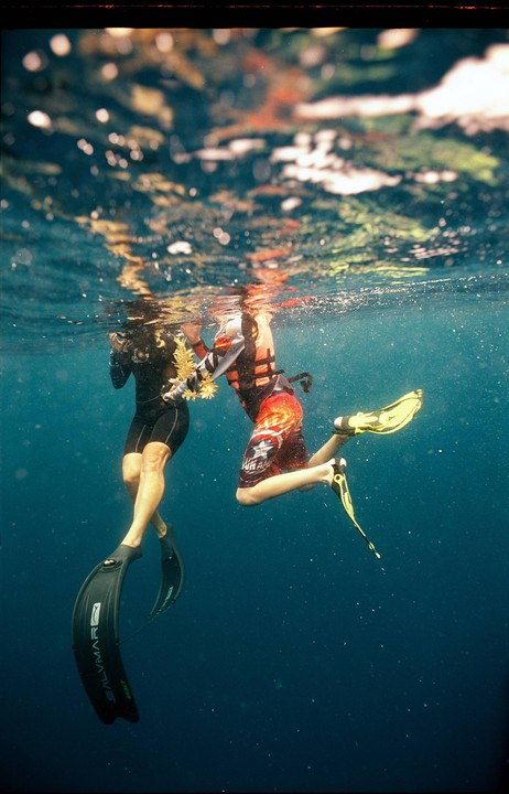 Two people wearing fins and snorkeling gear are swimming underwater, with one holding a piece of coral.