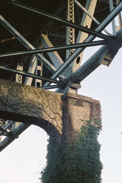 A concrete bridge support covered in ivy stands beneath the metal framework of a bridge.