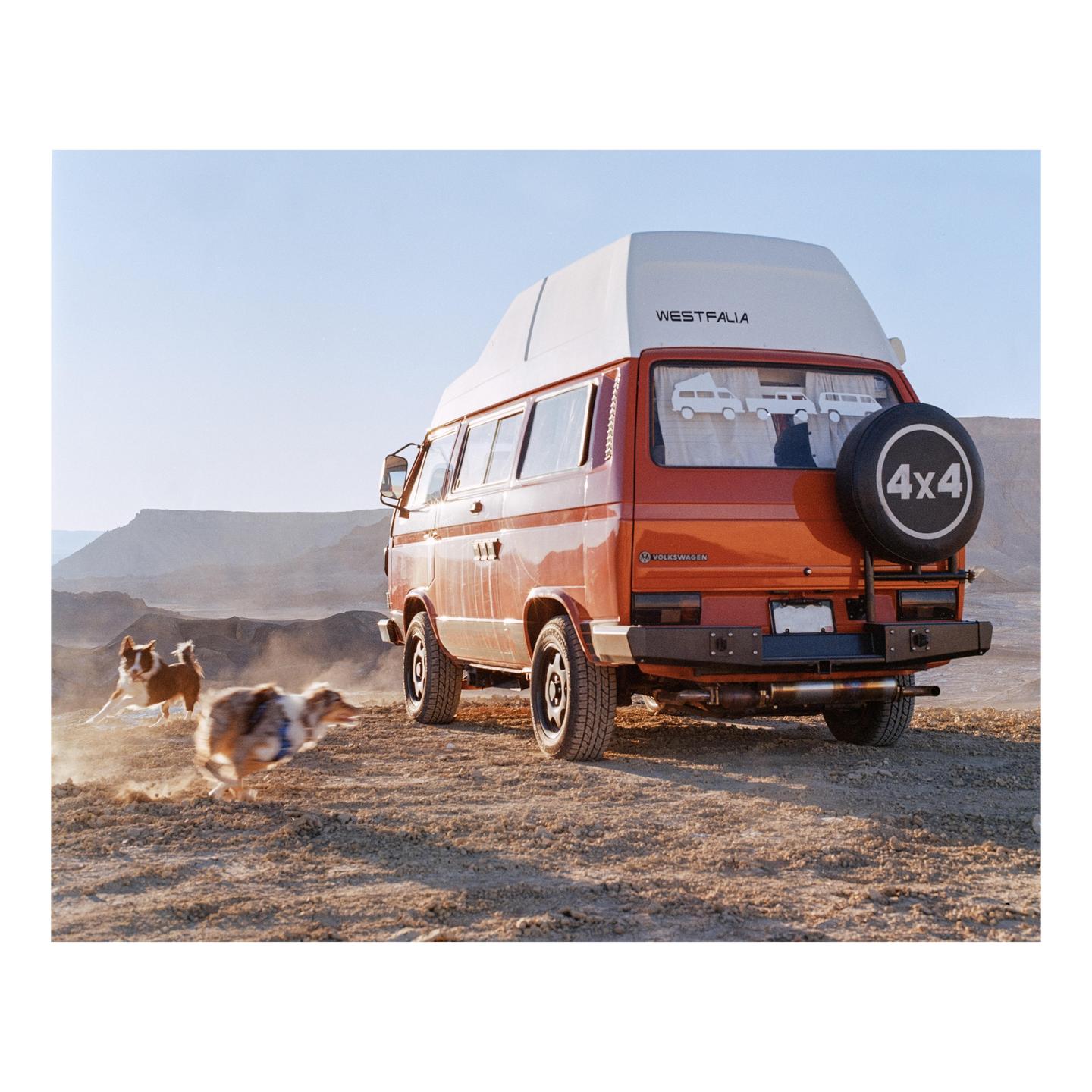 Two dogs run in the desert next to an orange camper van.