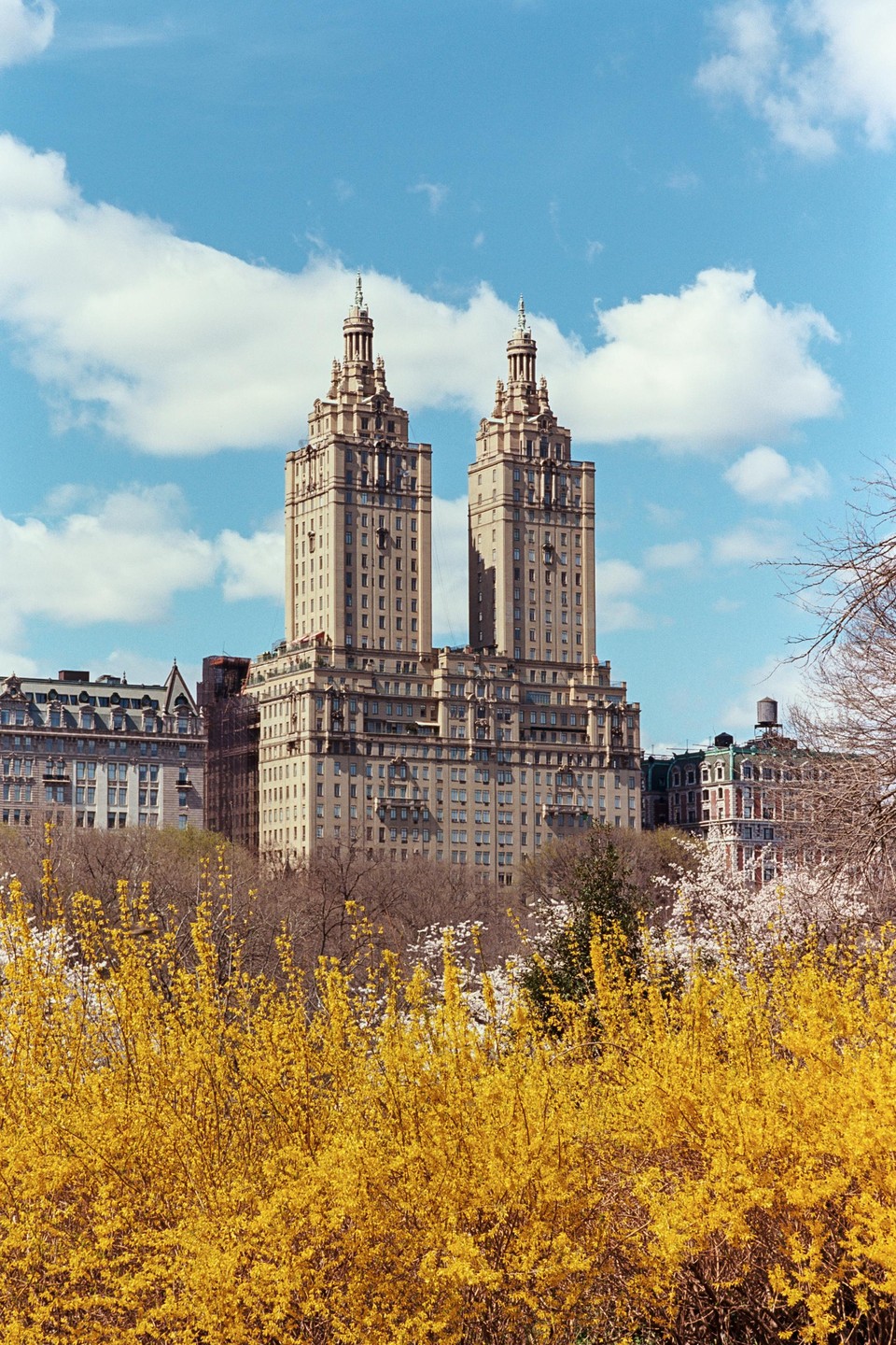 Two ornate towers rise above a field of yellow flowers and trees under a blue sky with white clouds.