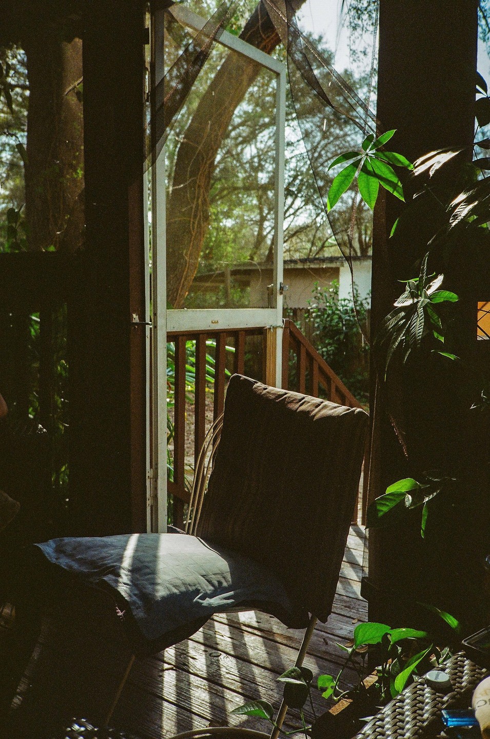 Sunlight streams through an open screen door onto a chair on a back porch.